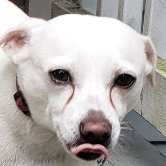 Meet your Posher, Roger - Picture 3 of 4